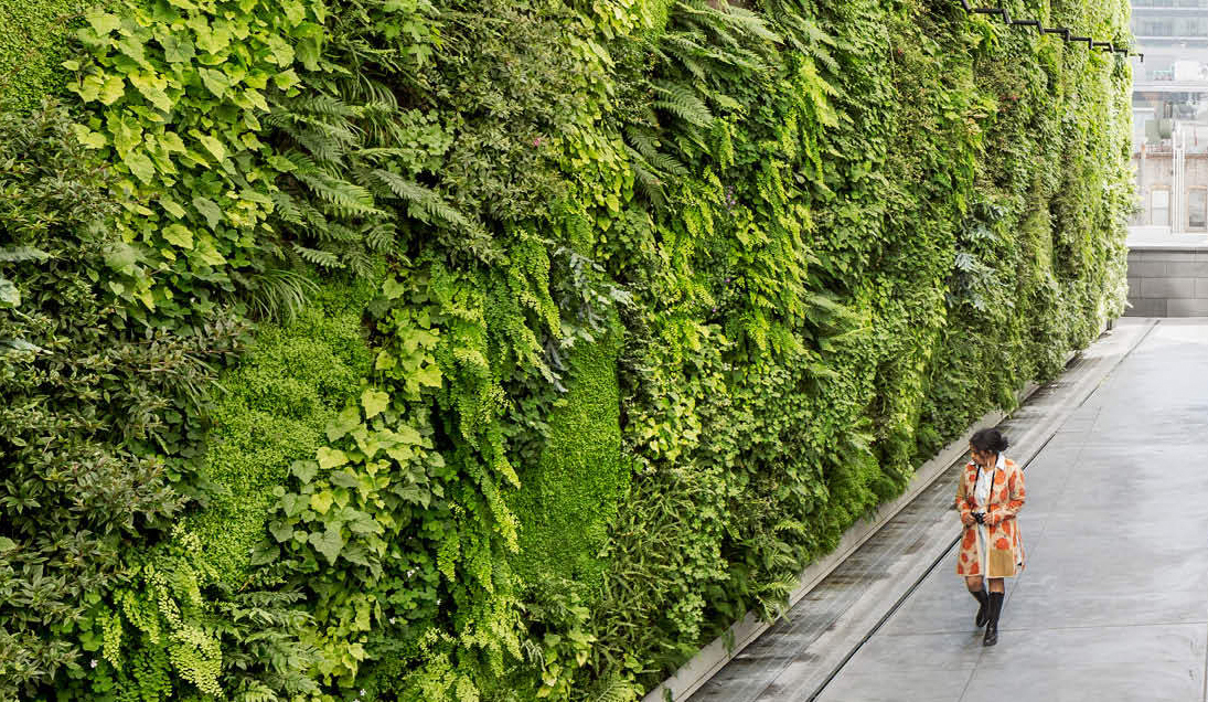 green walls bg